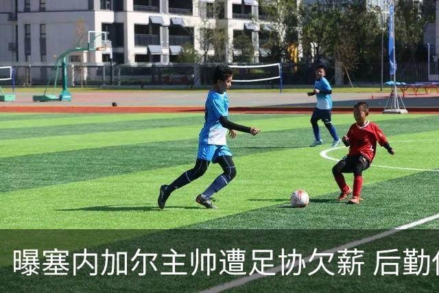 曝塞内加尔主帅遭足协欠薪 后勤保障糟糕球员被逼点外卖